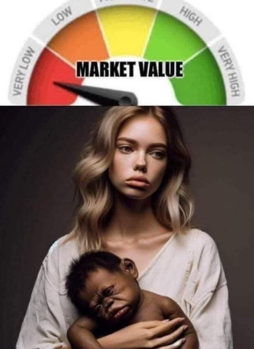 Fami Hayashi, The Fumo Collector tweet media