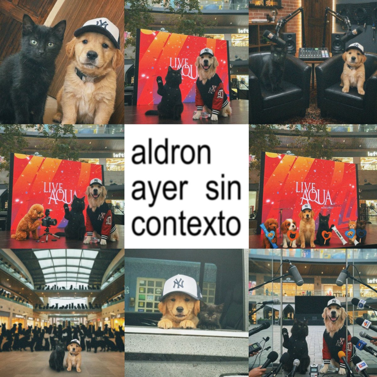 kei ⭑.ᐟ tweet media