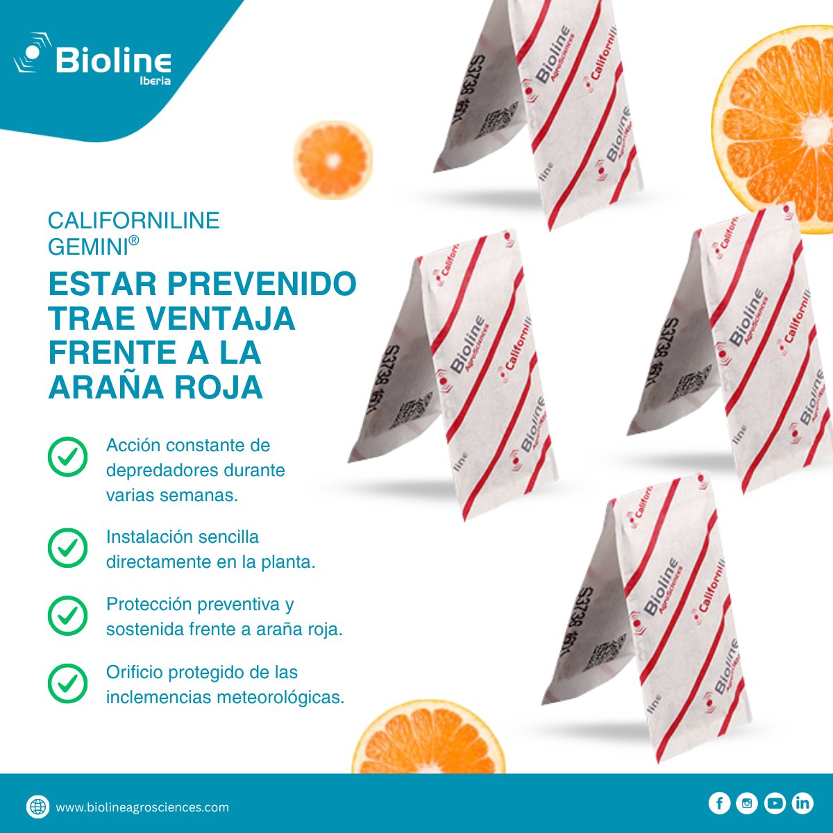 Bioline Iberia tweet media