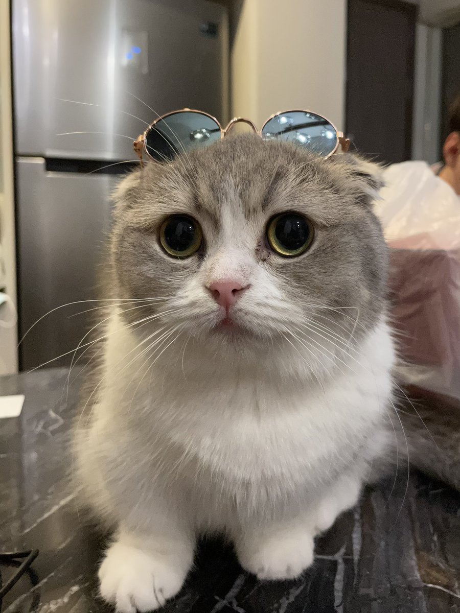 ตะ เล เต 🐈 tweet media