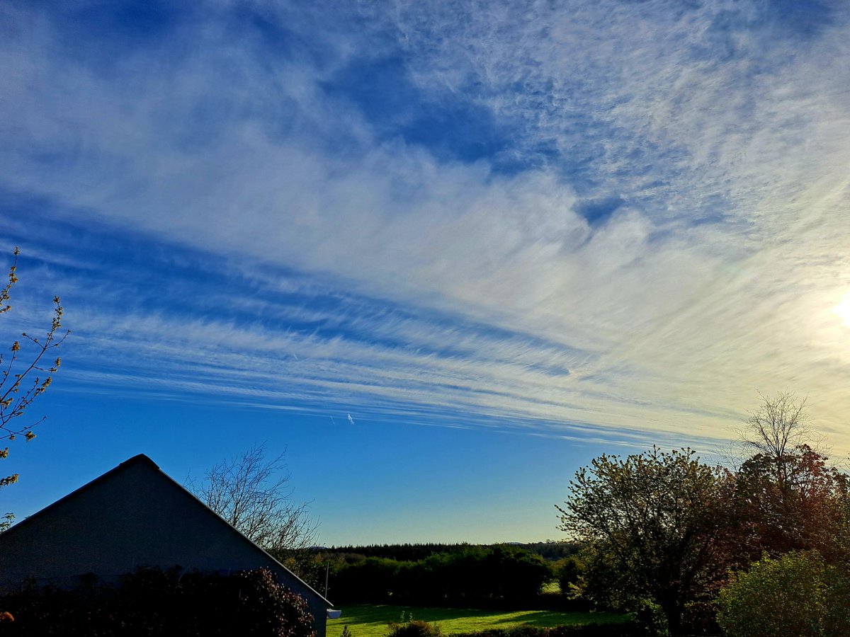 V_35_bw_'s tweet image. Morning feathering, April 2026 #goodweather #AtLast #goodm