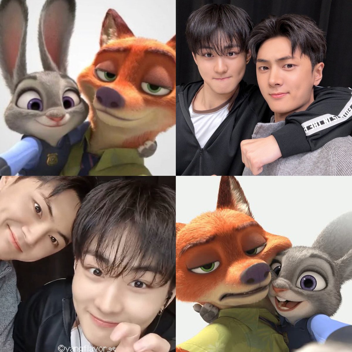 🦊🐰