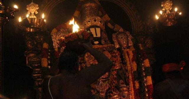 TheloneWolf tweet media