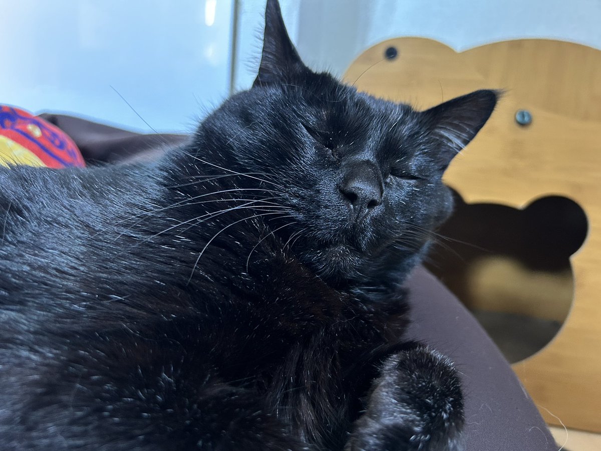 すずとはり tweet media