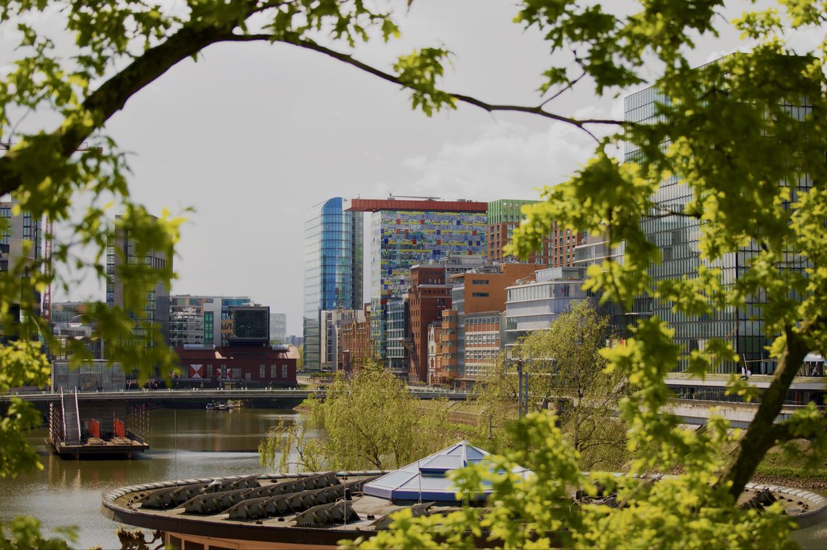 Hayden “4️⃣🆓❓” Lester tweet media