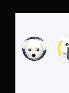 ㅇㅏㅋㅣ tweet media