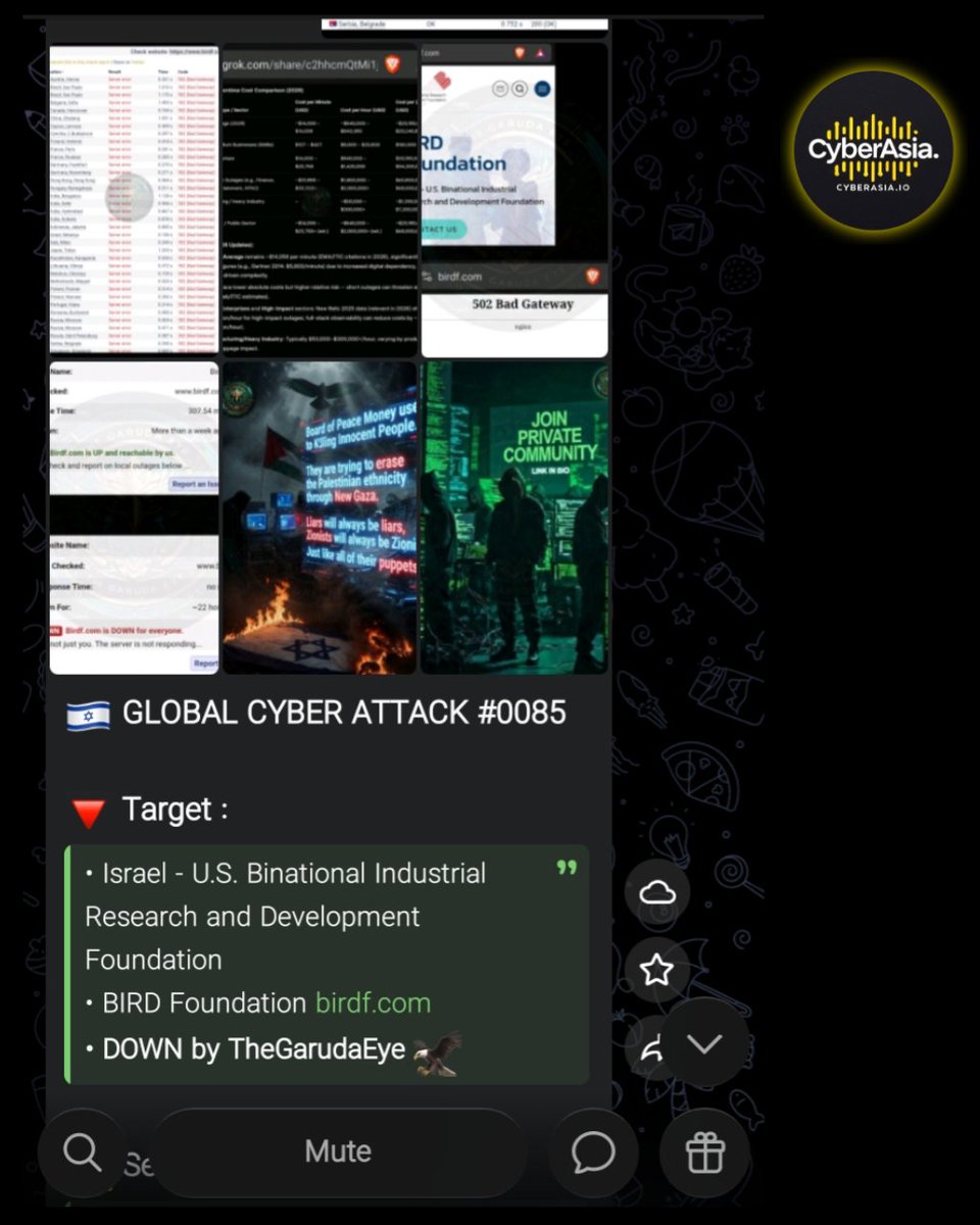 cyberasia_io's tweet image. 🚨 Israel Alert 🇮🇱

Hacktivist group The Garuda Eye has released cyberattack targeting the official website of the Israel-U.S. Binational Industrial Research and Development (BIRD Foundation) birdf.com
 
#DDoSAttack #Israel #BIRDFoundation #TheGarudaEye