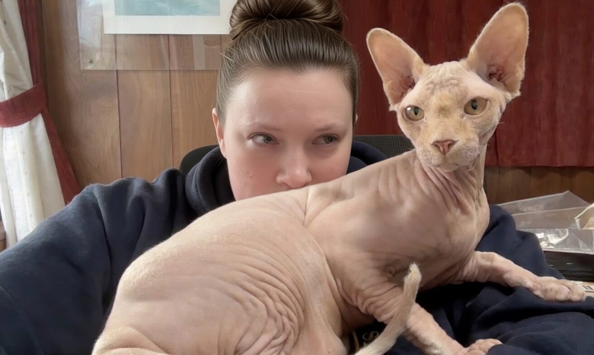 Paprika Girl tweet media