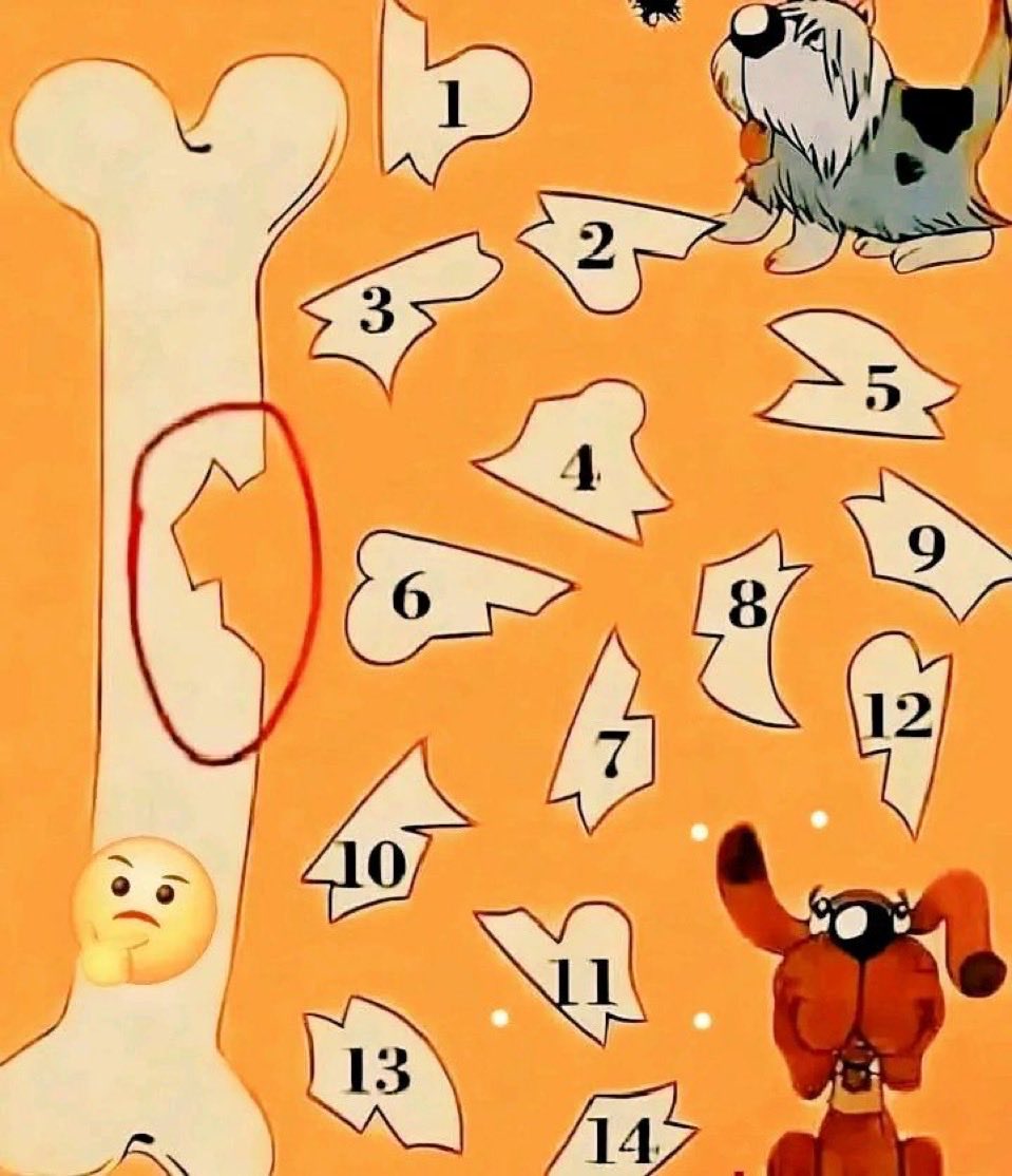 Fine_Girl Temmy✨ tweet media