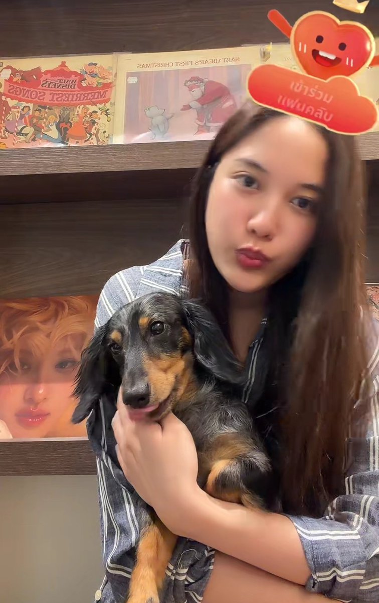 Only1Apiwan's tweet photo. น่ารักเนาะ 🫶🏻🤏🏻

#srchafreen
#Fluffy https://t.co/v1mdzSuYZ3