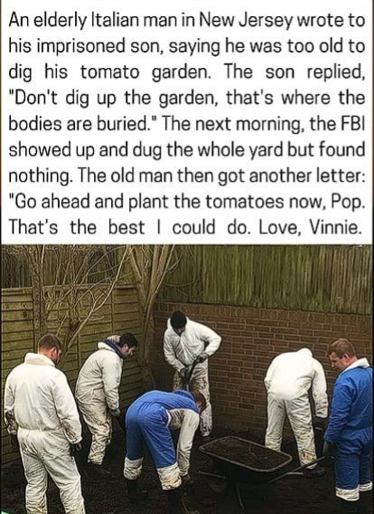 Wolf of X tweet media