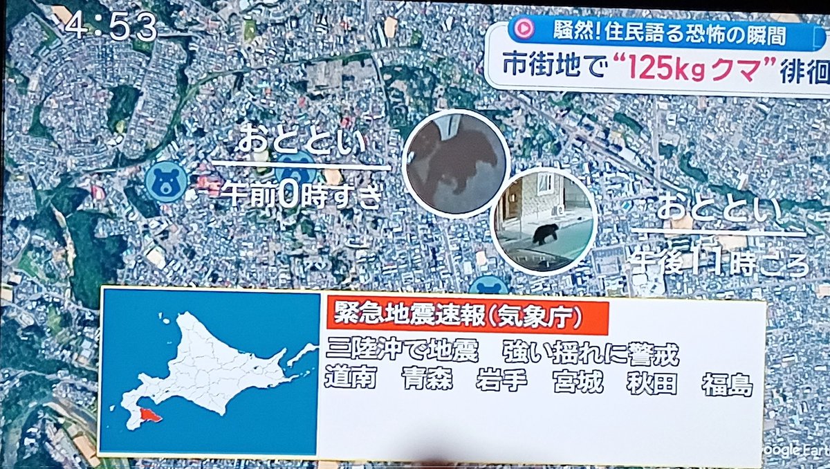 わんダフル( ´灬` ก) tweet media