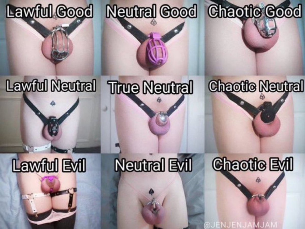 THE PERFECT SISSY FEMINIZATION SCHOOL 👯 tweet media