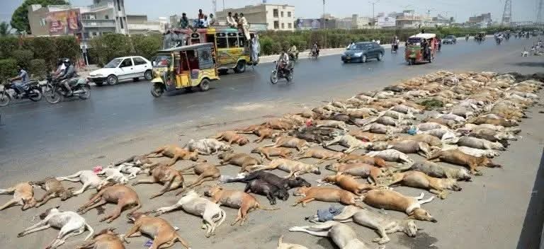 sengendo joseph3 tweet media