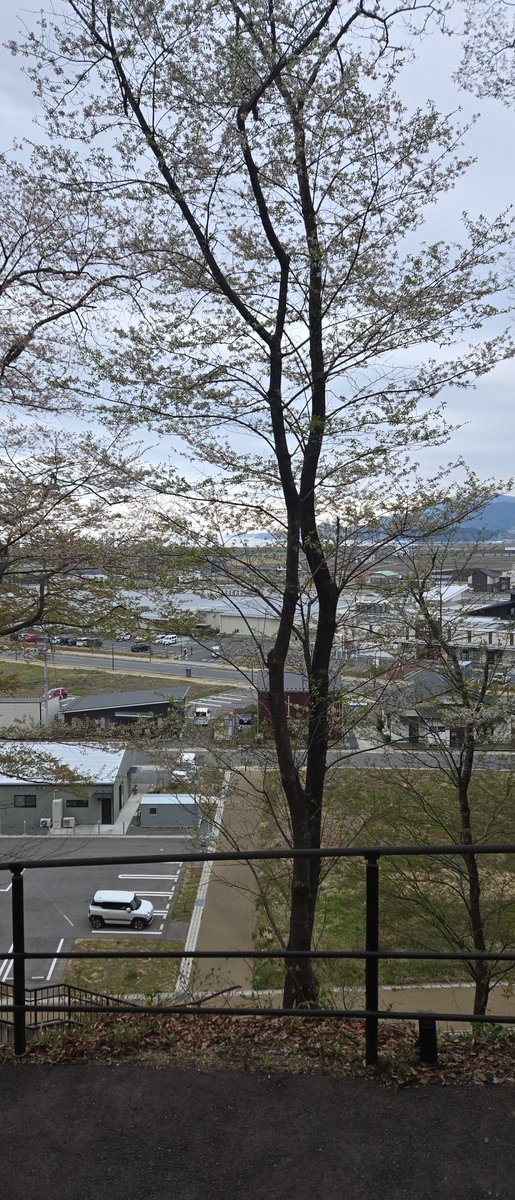 ✮*｡ﾟ💚いづみん💚✮*｡ﾟ tweet media