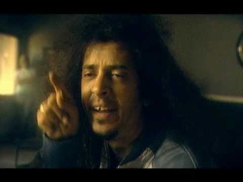 שי וולף 🇮🇱 tweet media