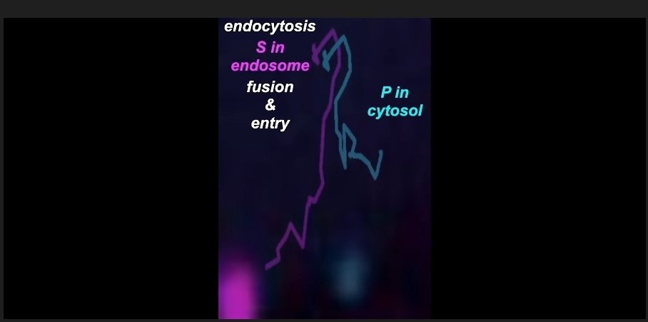 Jamie Andrews tweet media