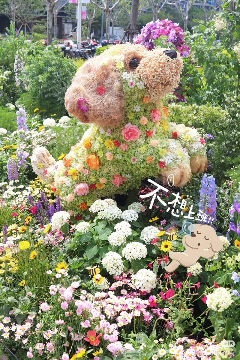 真的要被可爱晕了！！
交换春天 #遛娃好去处#上海街头的春天可爱疯了 #春日美学 #上海周末去哪儿#上海赏花 #citywalk #上海花展 #上海街头的春天可爱疯了#免费看展#五一去哪玩 #五一出游 #上海亲子游 #上海旅游