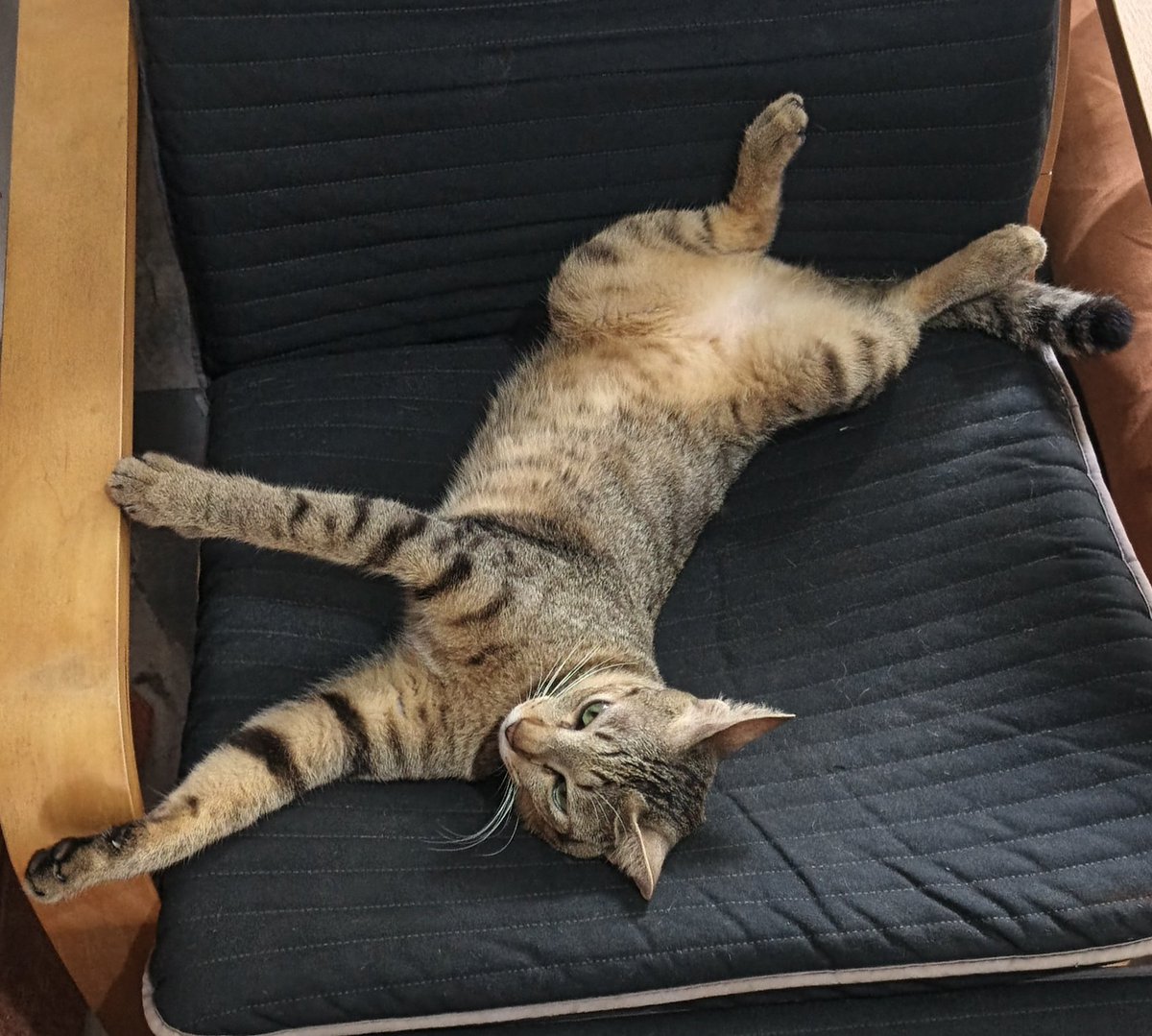 chiqu🧍‍♀️ tweet media