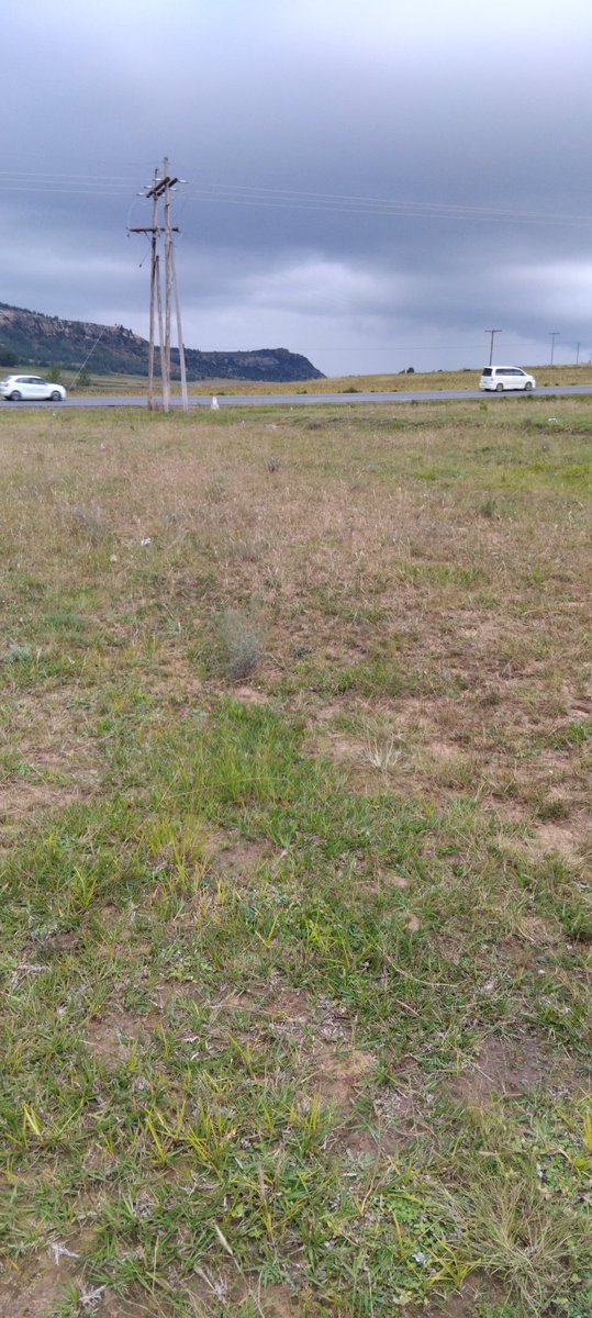 Property_PlugLS's tweet photo. Sites available for sale🚨🚨
📍Ha Kotola/ Hleoheng
Size: 25mx20m
Prices range from M15,000 to M30,000
Call/WhatsApp 59555012 to book a site viewing https://t.co/n8nWq6mmue