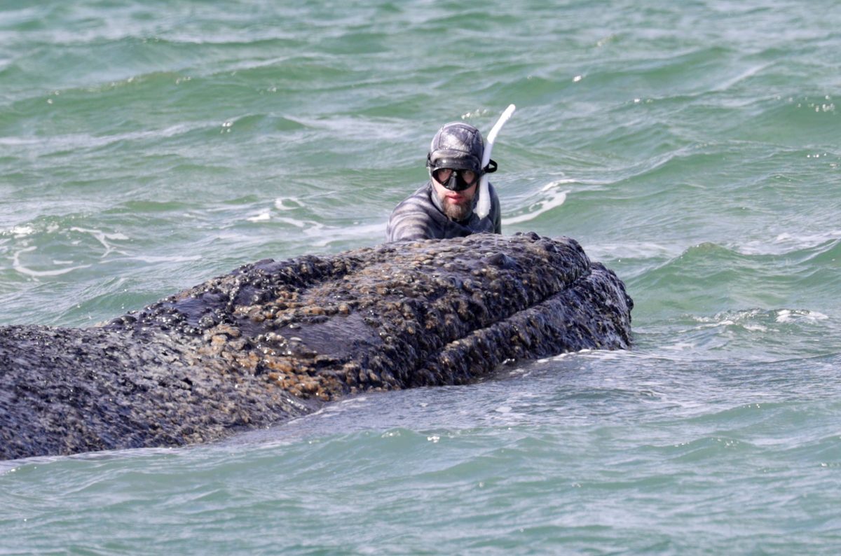 Systemsprenger tweet media