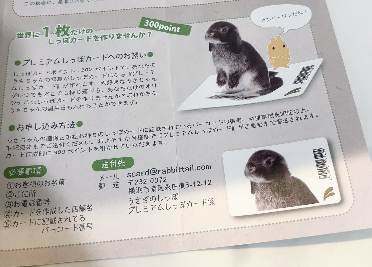 まる🐰(主:くみ) tweet media