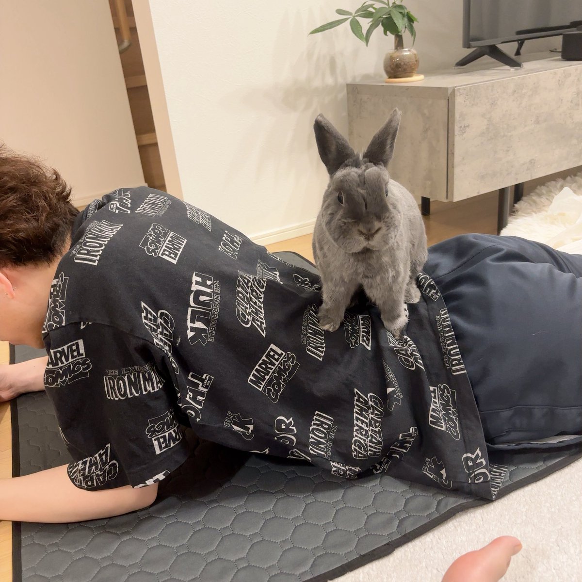 まる🐰(主:くみ) tweet media