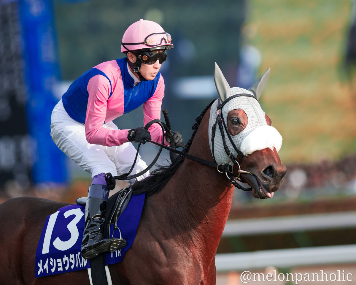 めろんぱんだ🐴📷次走4/26マイラーズC tweet media