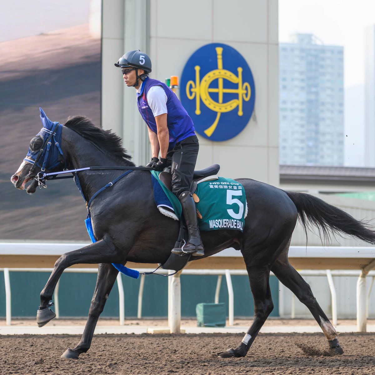 Hong Kong Racing tweet media