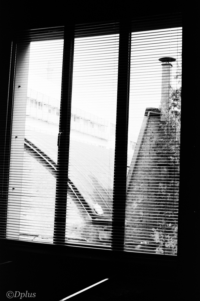 ChinaDevin's tweet image. 🌍✨ Beijing, Bangkok, Seoul, Chiang Mai, Phuket, Tianjin, Chengdu 💫 Wandering the alleys and pathways camera in hand✈️🌟  #Wanderlust #Asia #streetphotography #dplus #UrbanExploration #ArtOfVisuals