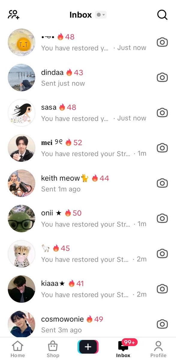 ៸៸ ᥫ᭡ ⪩ 𝒏𝐚𝐳𝐚 ⪨. 🪽 tweet media