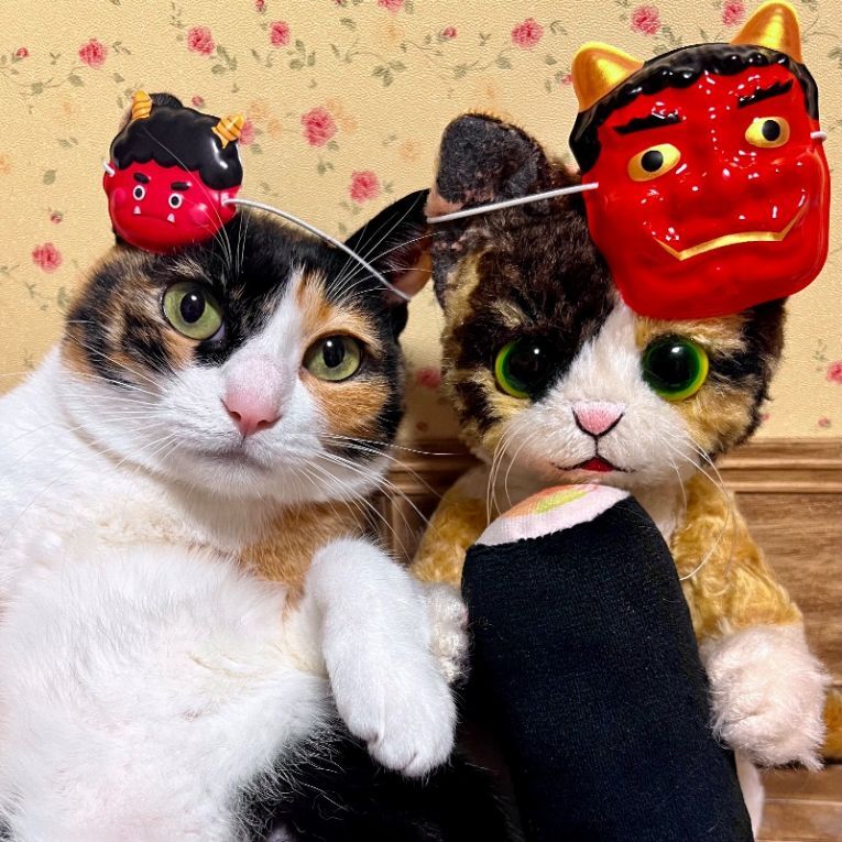 ペット保険の第一アイペット tweet media