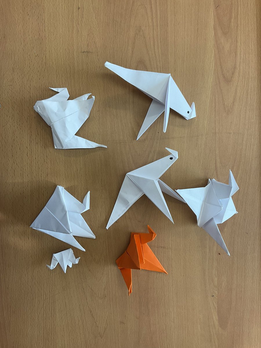 MayflowerSch's tweet image. #Okeeffe class worked very hard at making origami birds last week for our new story hook - The Freedom Bird #year2 #ks1 #english #storytelling