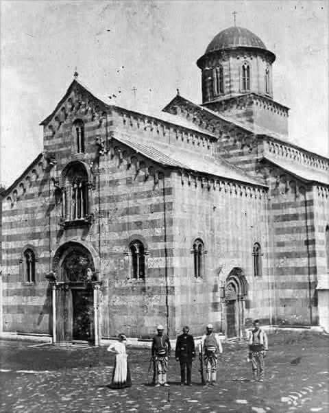 Alex Velaj tweet media