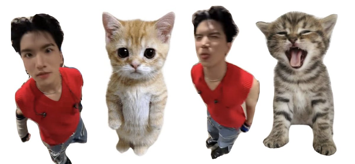 rejิน tweet media