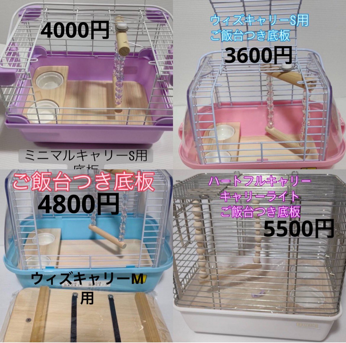 インコ農園 じゅん（鳥フェス大阪6/20.21出展） tweet media