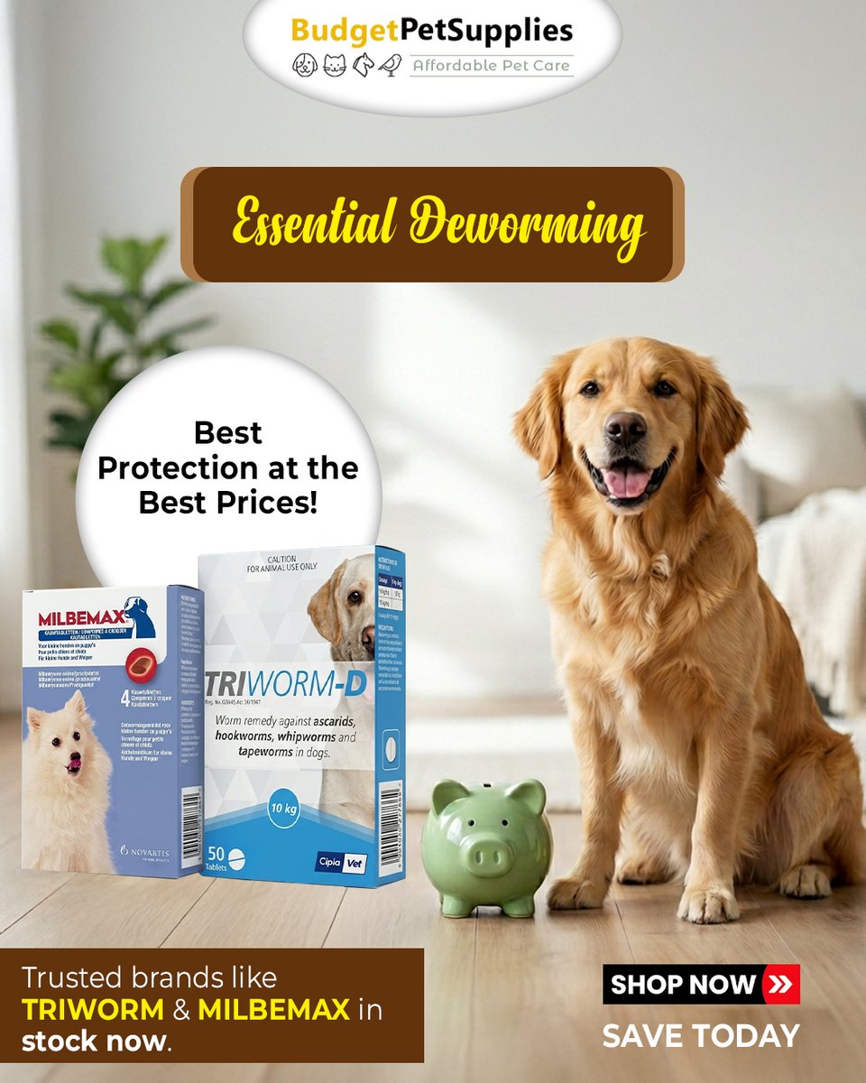 Pet_Supplies_za's tweet image. Protect your dog the smart way 
🐶
Top deworming brands at unbeatable prices!

Shop now &amp;amp; save today: bit.ly/4tW3rcn

#PetCare #DogHealth #Deworming #PetDeals #Milbemax #Triworm