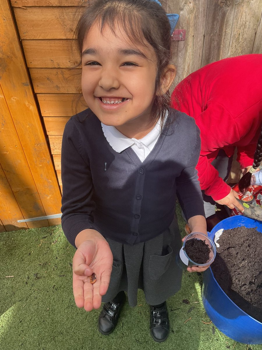 MayflowerSch's tweet image. #okeeffe class planted some seeds to start off our science topic on plants. We’re going to observe how they grow over time so we can learn what plants need to grow! #science #ks1 #year2 #observingovertime