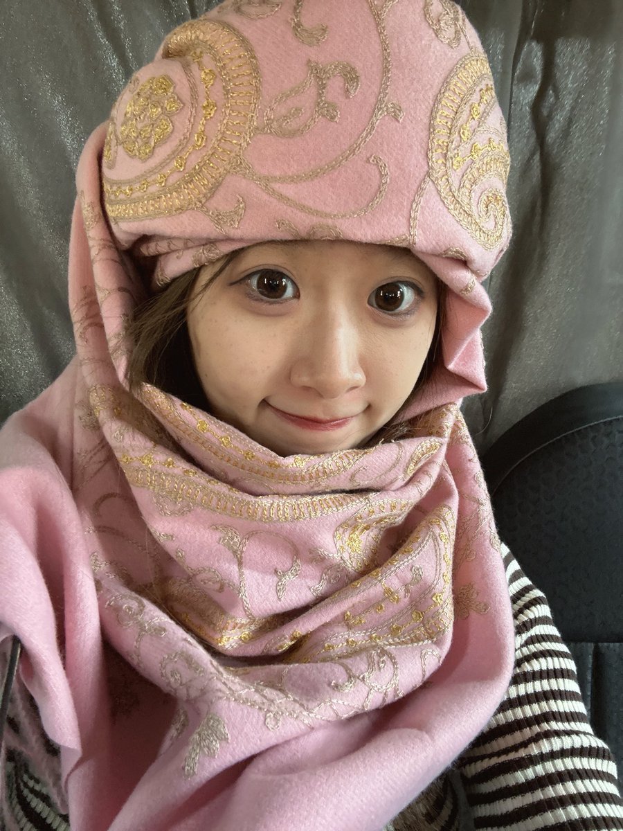 ごてんちゃん tweet media
