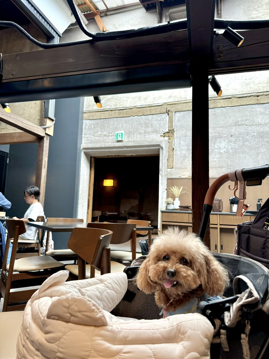 ちかりんご tweet media