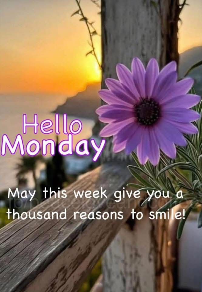 EndTimesBibleChannel tweet media