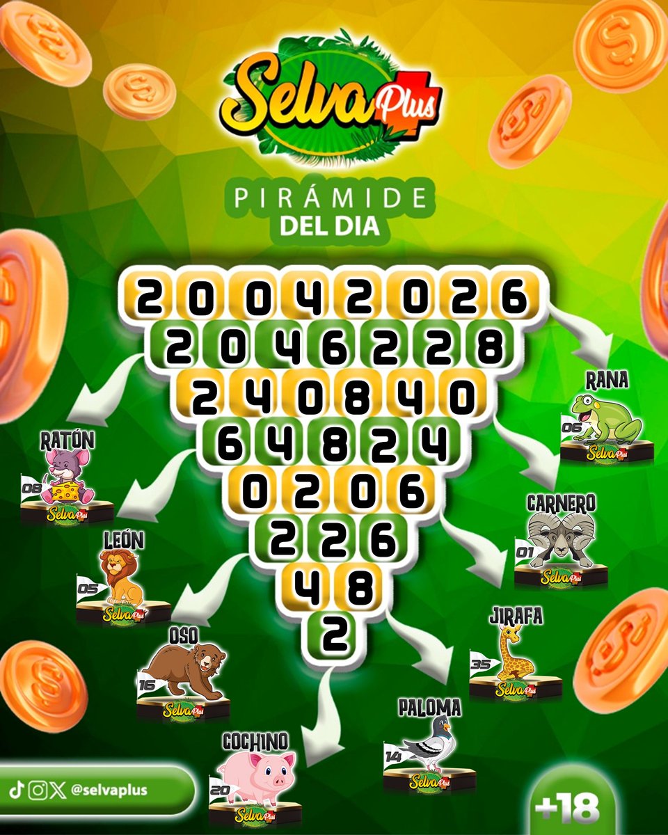 ***SELVA PLUS*** tweet media