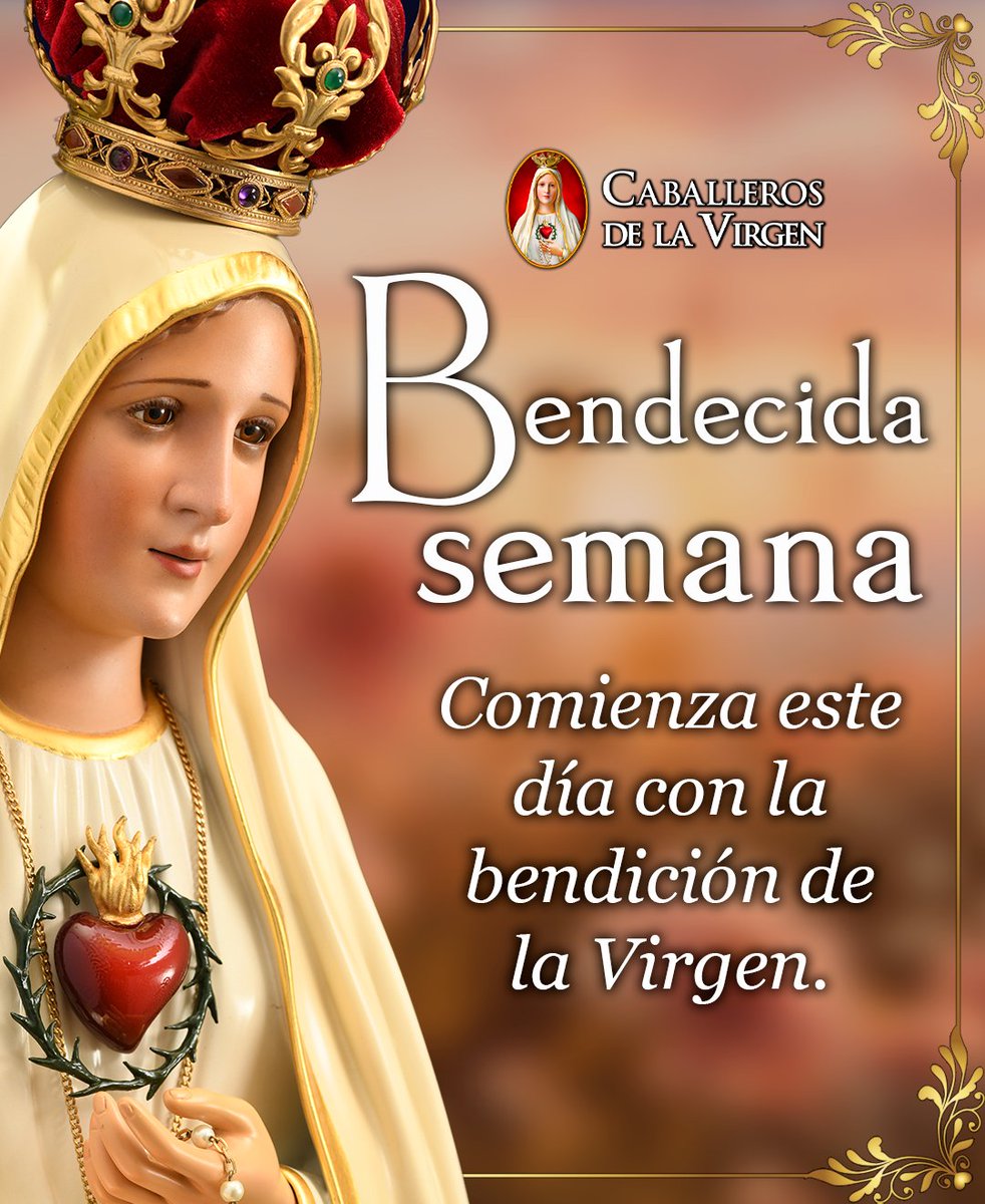 Caballeros de la Virgen tweet media