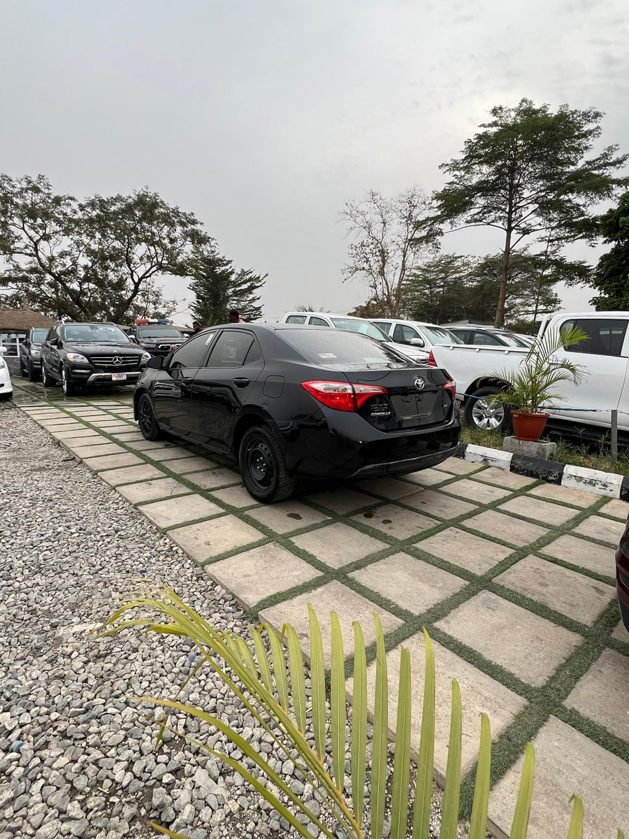 Undisputed tweet media