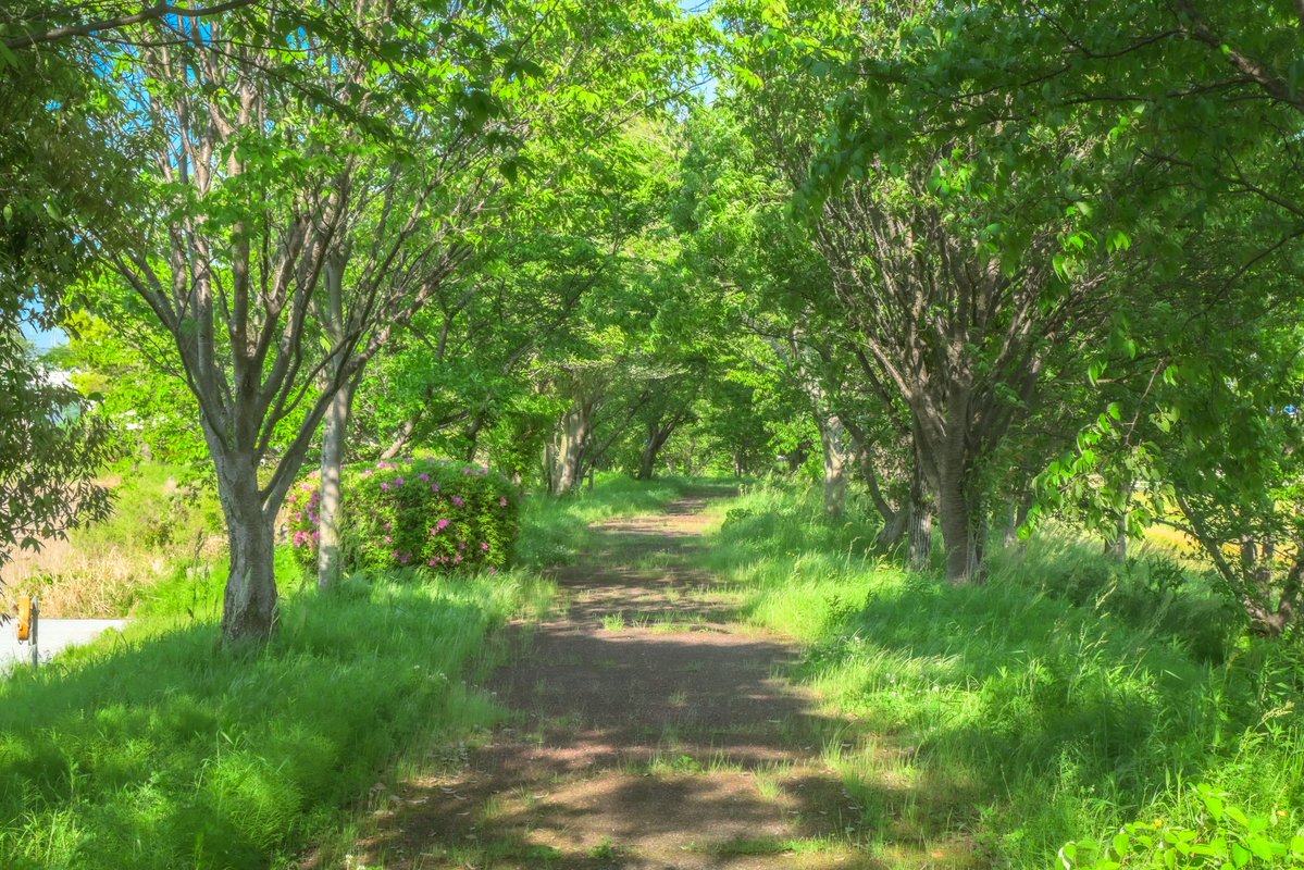 Utakata 🫧 tweet media