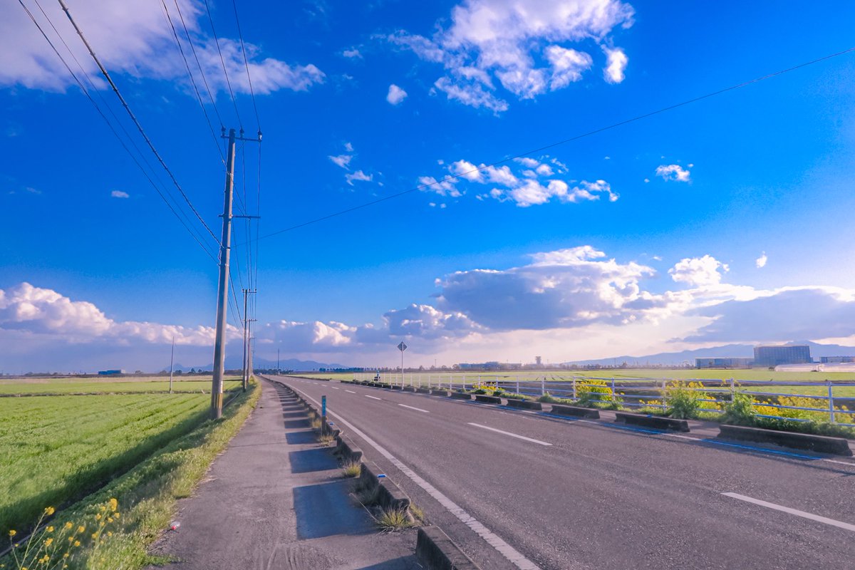 道の先にはどんな未来が待ってるのかな