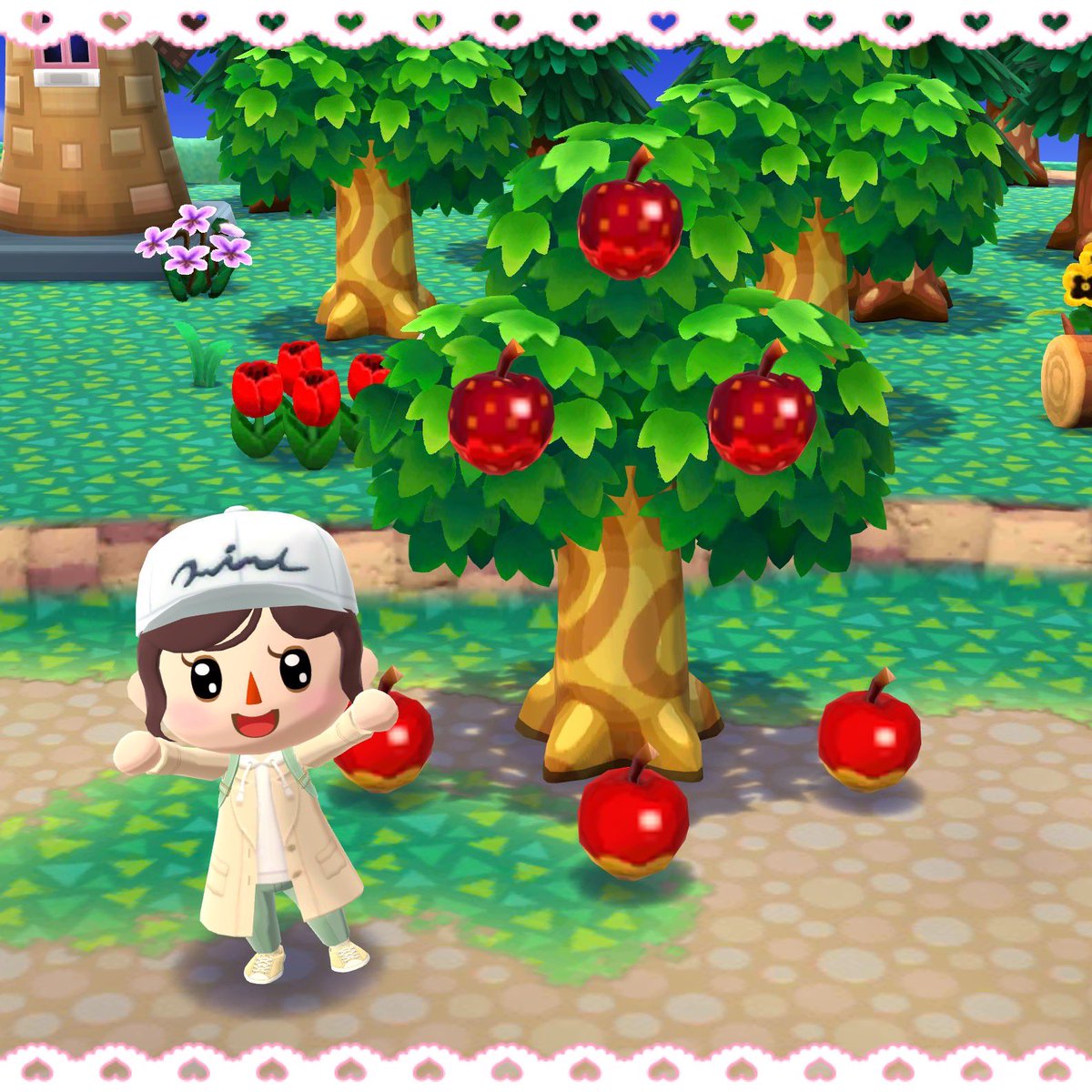 Mikayon11's tweet image. ばんざーい😆🙌
ポケ森スタートして初めて『おいしいくだもの』が3つ同時に実りました🍎
2つ実ったことはあったのですが3つはなかった💦
記念撮影したもののまだもったいなくてりんごを落とすことができてません😅しばらく眺めていたい…🥰🍎✨

#ポケ森 #ACPC #おいしいくだもの