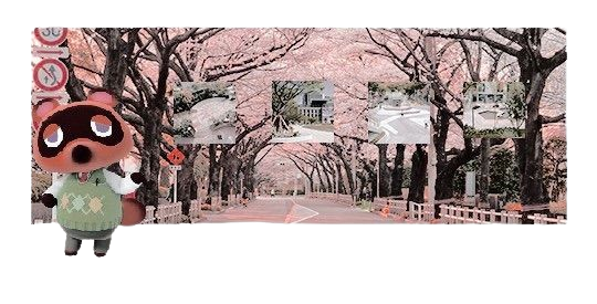 𝐌𝐘𝐔𝐍𝐄𝐊𝐎 𝐏𝐑𝐎𝐌𝐎 ! tweet media