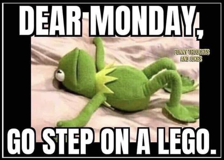 Sarah Sizzle tweet media