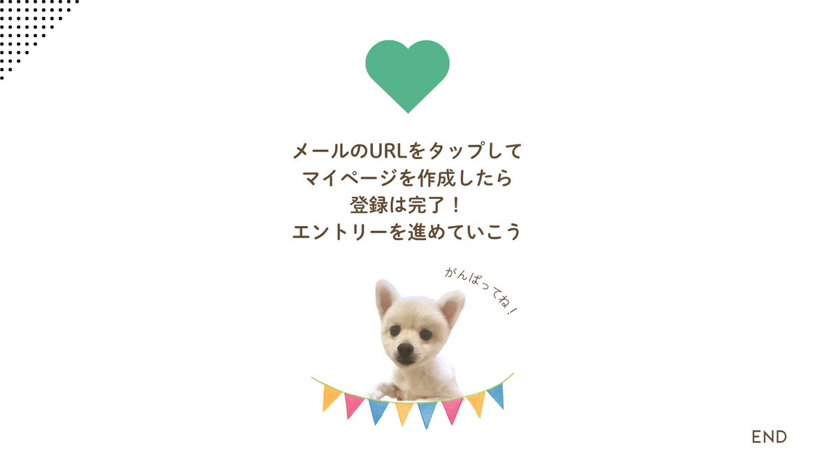 peppykango's tweet photo. ＜AOエントリーは6月1日からスタート＞
アカウントの登録・マイページ作成はもうできるって知ってましたか？
最初の5ステップをご紹介します！ https://t.co/I5OMnmL7lt